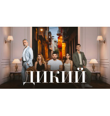 Дикий турецкий сериал