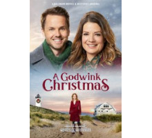 A Godwink Christmas (2018)