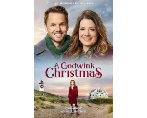 A Godwink Christmas  2018 смотреть онлайн