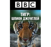 BBC: Тигр — Шпион джунглей (2008) (2008)