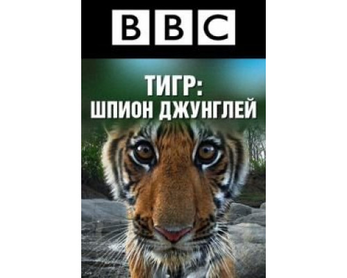 BBC: Тигр — Шпион джунглей (2008) (2008)