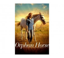 Orphan Horse 2018