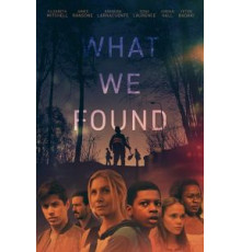 What We Found (2020)