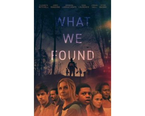 What We Found (2020)