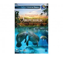 Эверглейдс 3D: Ламантины Кристальной реки 2012