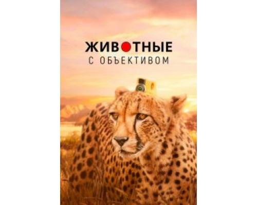 Животные с объективом (2018) (2018)