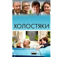 Холостяки (2017)