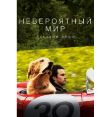 Невероятный мир глазами Энцо (2019)