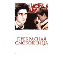 Прекрасная смоковница 2008