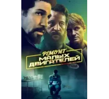 Ремонт малых двигателей (2021)