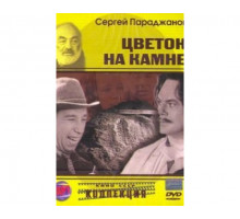 Цветок на камне 1962