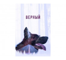 Верный 2016